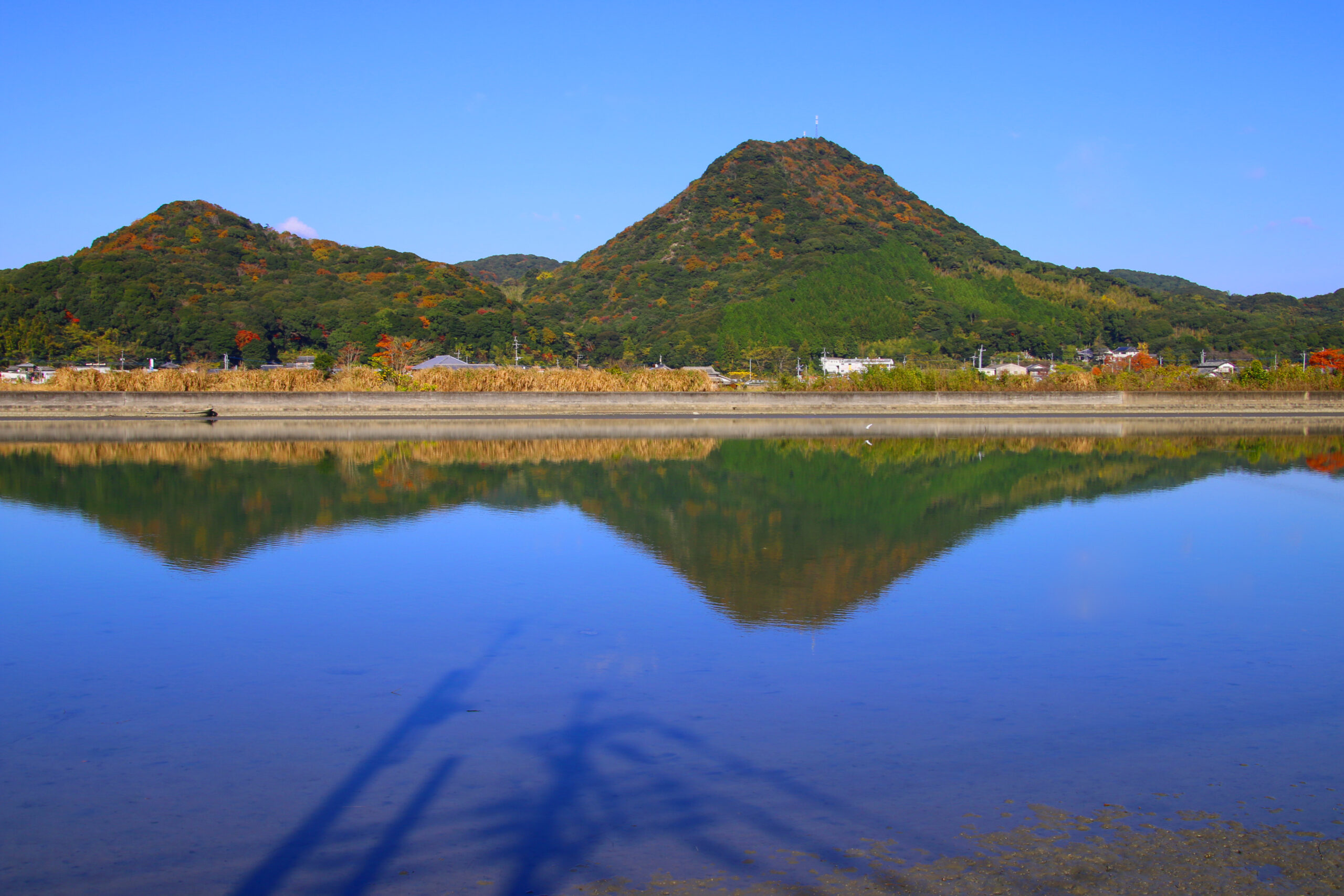 需要と供給